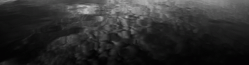 295A0959-P