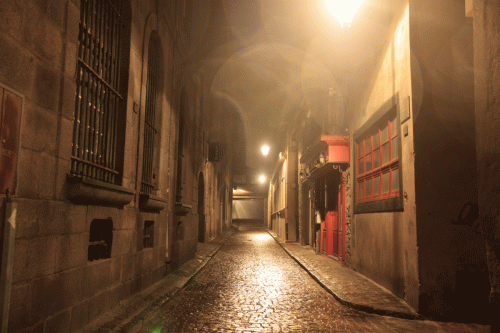 295A1239 Ruelle de St-Malo
