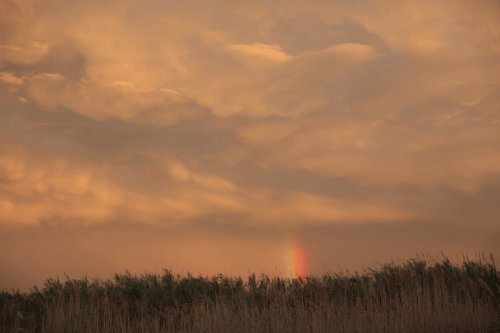 295A2530 Arc en ciel