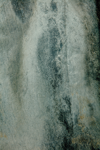 295A9756-jpg2 Colère sourde
